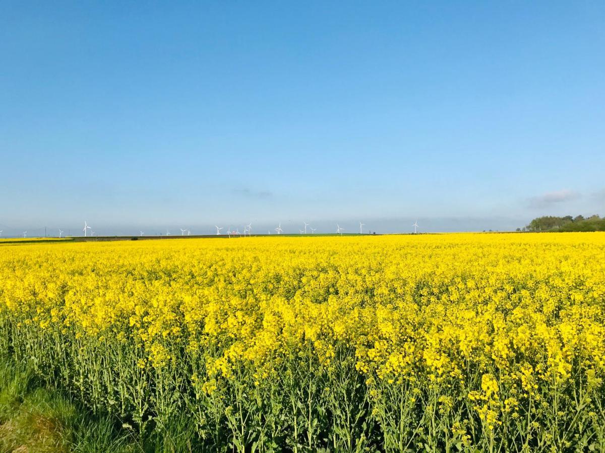 Domki I Apartamenty Caloroczne Koliber Władysławowo Exterior foto